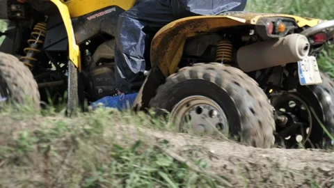 Quadro8 Stock Footage 139453638