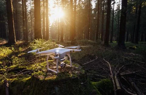 Quadrocopter drone on a tree trunk at sunset Stock Photos