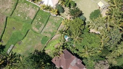 Quadrocopter flies over the three pyramids of chi in ubud bali, palm trees and 库存影片 128928586