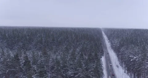 Quadrocopter flight through the winter forest. View from above. Snowfall. Stock Footage 122324452