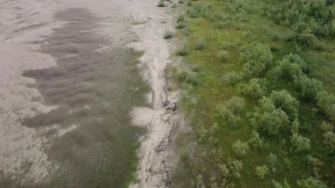 Quadrocopter Fly Over Willow Trees And Wet Sand In Cloudy Day. Сoastline. 4K Stock Footage 159371375
