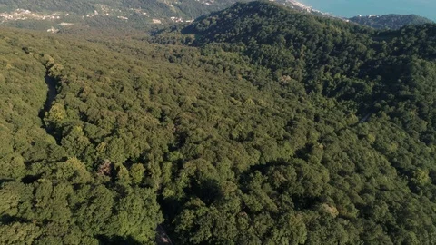 Quadrocopter flying over the forest and mountains. Vidéo 99466175