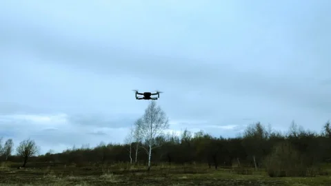 Quadrocopter flying over the river and natural species. Stock Footage 129572018