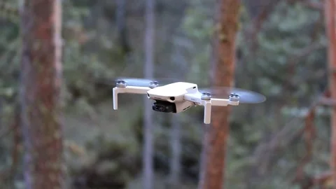 Quadrocopter hovers among pine trees Stock Footage 247754438