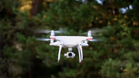 Quadrocopter Phantom 4 Pro Drone Flies In The Forest Stock Footage 79877953