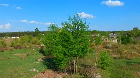 Quadrocopter shooting, overview of the nature Stock-Footage 89949843
