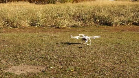 Quadrocopter soars from the clearing in the forest. Stock Footage 81318696