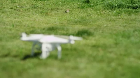 Quadrocopter standing on the grass. green background. summer Stock Footage 66007621