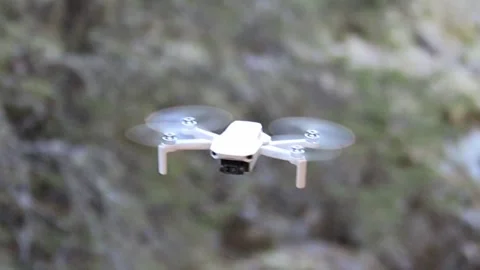 Quadrocopter surveys a forest close up Stock Footage 247632747