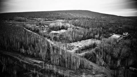 Quadrocopter view of the forest and terrain Stock Footage 141753561