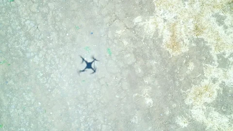 Quadropter landing, view down Stock Footage 156834677