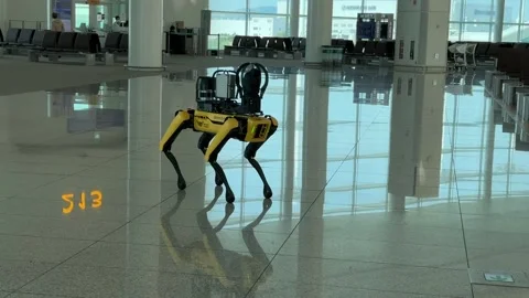 Quadruped (four-legged) robot dog at Incheon Airport in South Korea Stock Footage 336276347