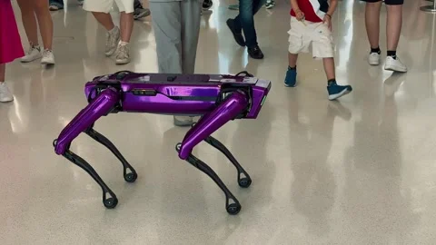 Quadruped robot 1 Video stock 328849513