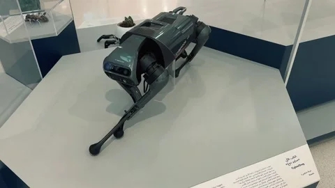 Quadruped robot 3 Video stock 328849515