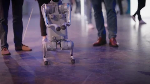 Quadruped robot dog performing demonstration at technology trade show Stock Footage 336429001
