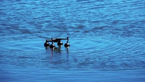 Quadrupter floats on water Stock Footage 76165848