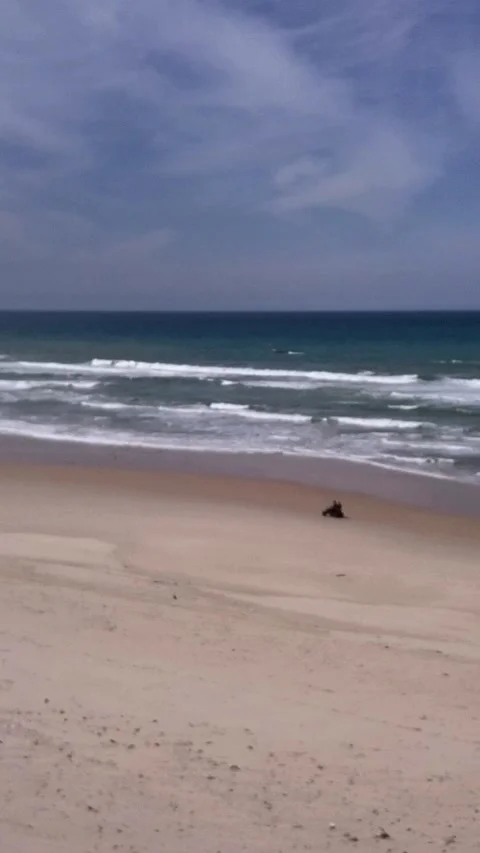 Quads driving along sandy beach, ocean waves crashing behind Video stock 228800565