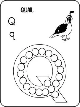Quail abc animals dot markers activity Pages Stock Illustration