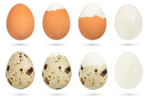 Quail and chicken eggs. The process of cleaning boiled eggs from the shell on a Foto stock