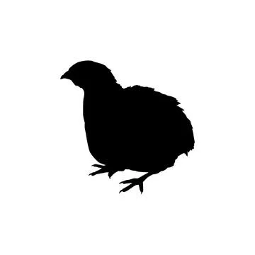Quail bird silhouette isolated Stock Illustration