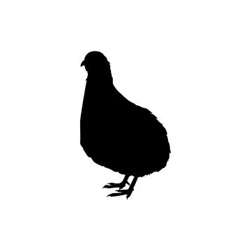 Quail bird silhouette isolated Stock Illustration