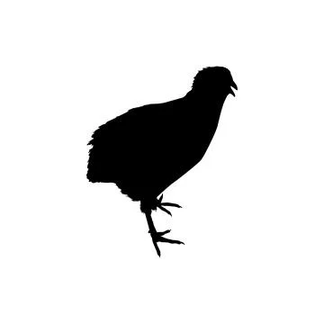Quail bird silhouette isolated Stock Illustration