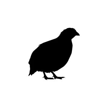 Quail bird silhouette isolated Stock Illustration