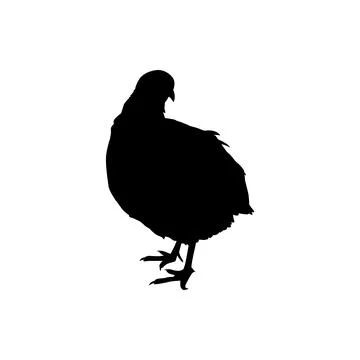 Quail bird silhouette isolated Stock Illustration