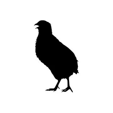 Quail bird silhouette isolated Stock Illustration