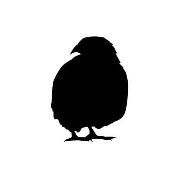 Quail bird silhouette isolated Stock Illustration