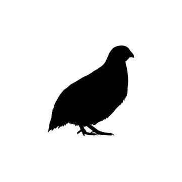 Quail bird silhouette isolated Stock Illustration