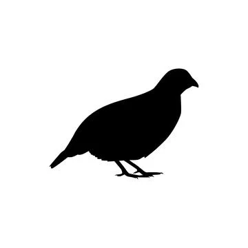 Quail bird silhouette isolated Stock Illustration