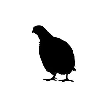 Quail bird silhouette isolated Stock Illustration