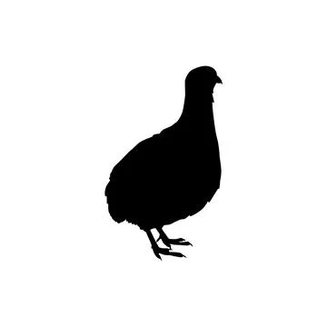 Quail bird silhouette isolated Stock Illustration