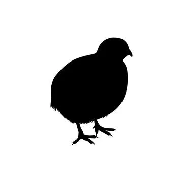 Quail bird silhouette isolated Stock Illustration