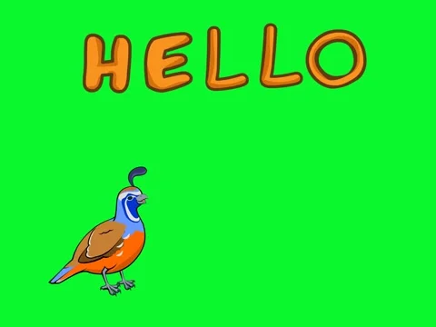 Quail cartoon Animation Video stock 292121438