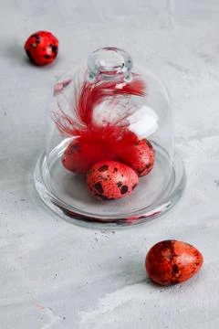 Quail colourful easter eggs on glass dome grey concrete background. Stock Photos