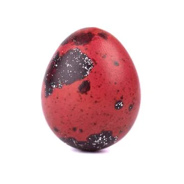 Quail easter egg red color, isolated on white background. Easter concept. Macro Stock Photos