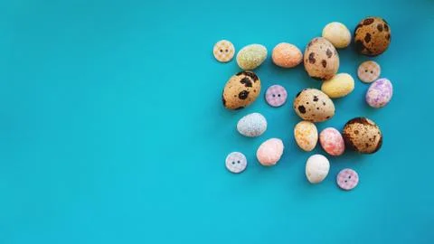 Quail Easter eggs on blue background. Flat lay, top view. Easter concept. Stock Photos