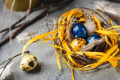Quail easter eggs with feathers in nest on brown table with copy space. Stock Photos