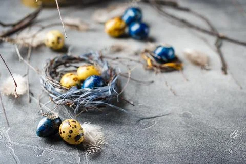 Quail easter eggs with feathers in nest on brown table with copy space. Foto stock