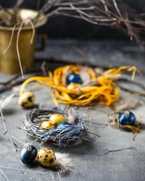 Quail easter eggs with feathers in nest on brown table with copy space. Stock Photos