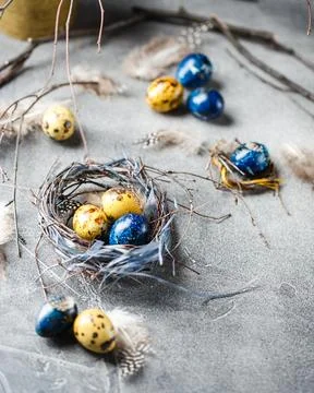 Quail easter eggs with feathers in nest on brown table with copy space. Foto stock
