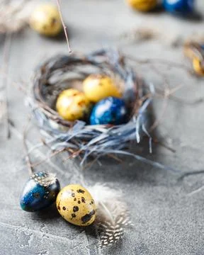 Quail easter eggs with feathers in nest on brown table with copy space. Stock Photos