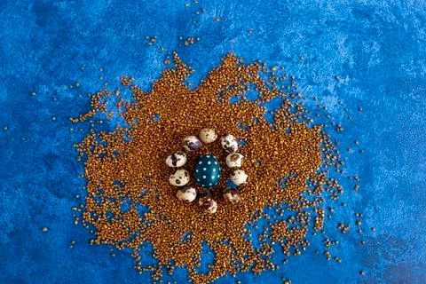 Quail Easter eggs on golden decorative rocks. Dark blue background. Holiday d Stock Photos