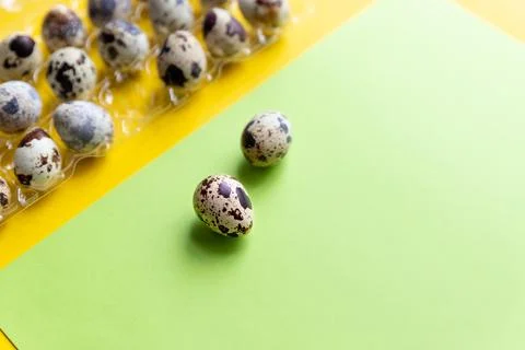 Quail Easter eggs lying on Trendy isometric bright background. Creative greeting Stock Photos