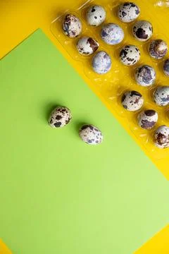 Quail Easter eggs lying on Trendy isometric bright background. Creative greeting Stock Photos