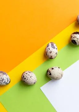 Quail Easter eggs lying on Trendy isometric bright background. Creative greeting Stock Photos