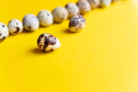 Quail Easter eggs lying on Trendy isometric bright background. Creative greeting Stock Photos