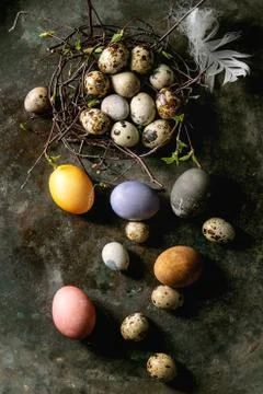 Quail Easter eggs in nest Stock Photos